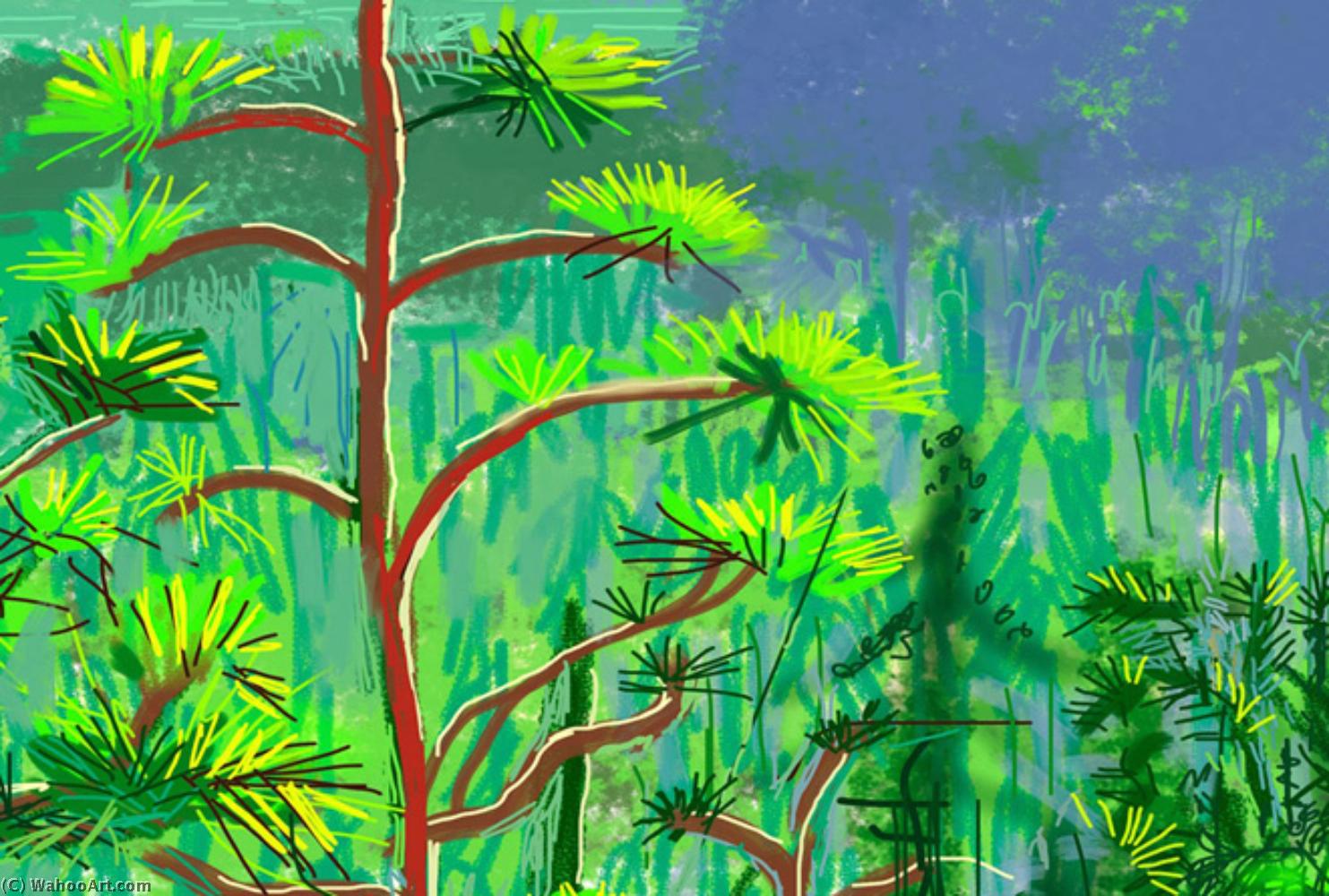 Yosemite i (2) de David Hockney David Hockney