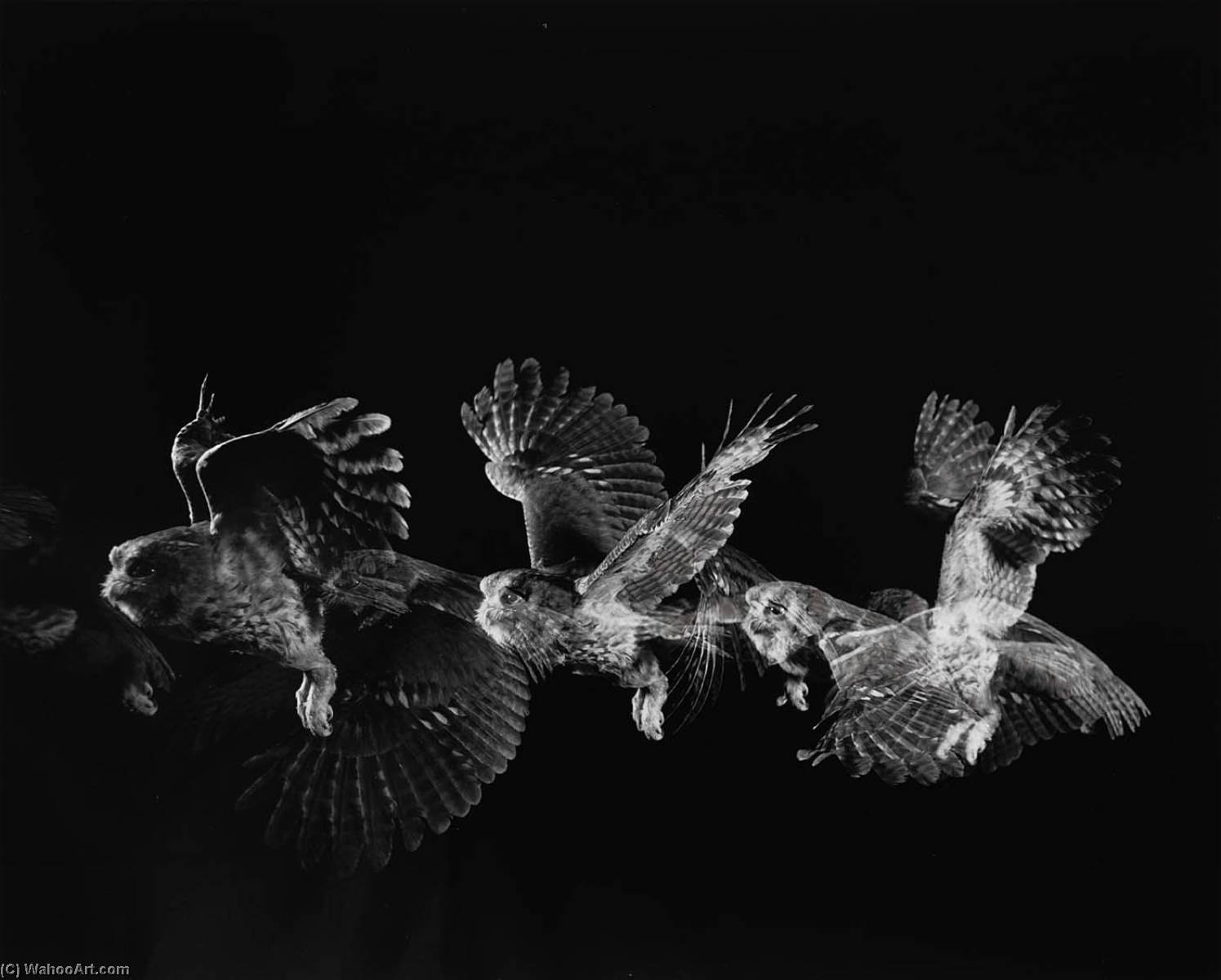 Reproductions D'art Effrayant, 1987 de Harold E Edgerton (19031990