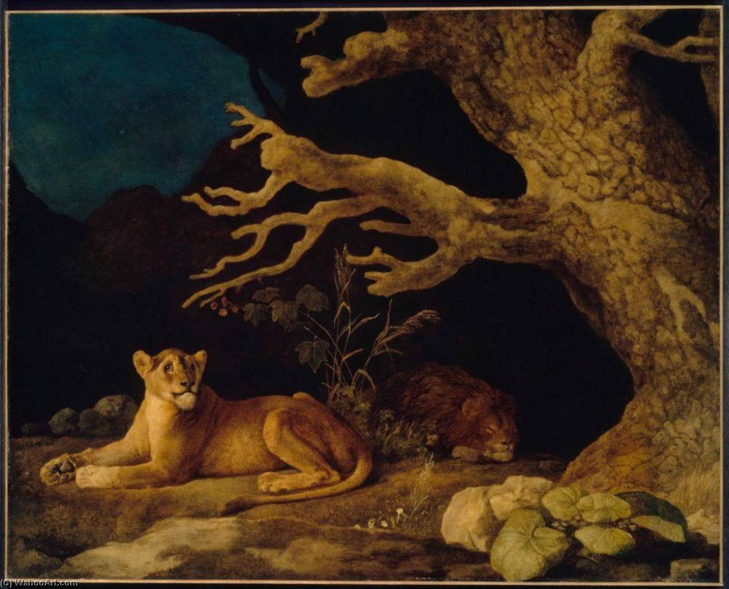 Tableau Déco – Cheval Effrayé Par Un Lion – George Stubbs (1762-1768) – Reproduction Impression