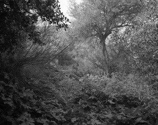 畫複製 修道院的泰勒玛1 从系列上午魔术师 05 通过joachim Koester Artsdot Com