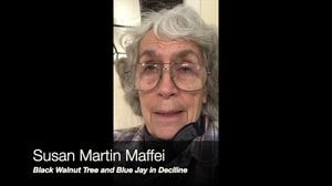 Susan Martin Maffei