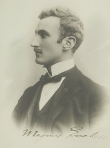 magnus enckell