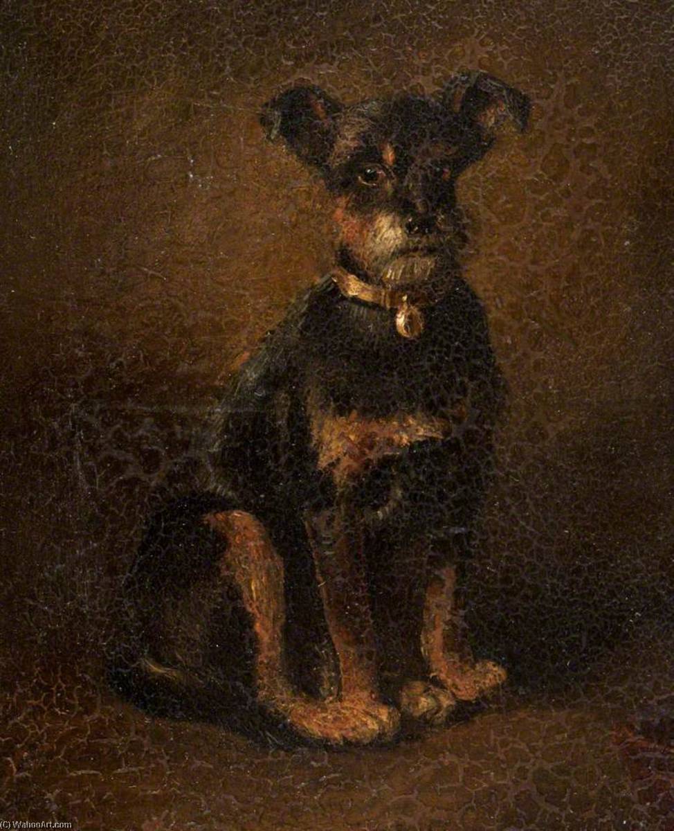 'fido' — John Irvine