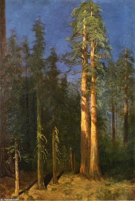 California Redwoods — Albert Bierstadt