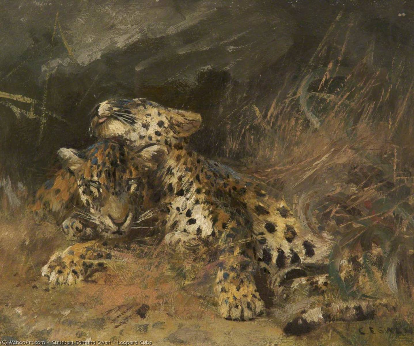 Leopard Cubs — Cuthbert Edmund Swan