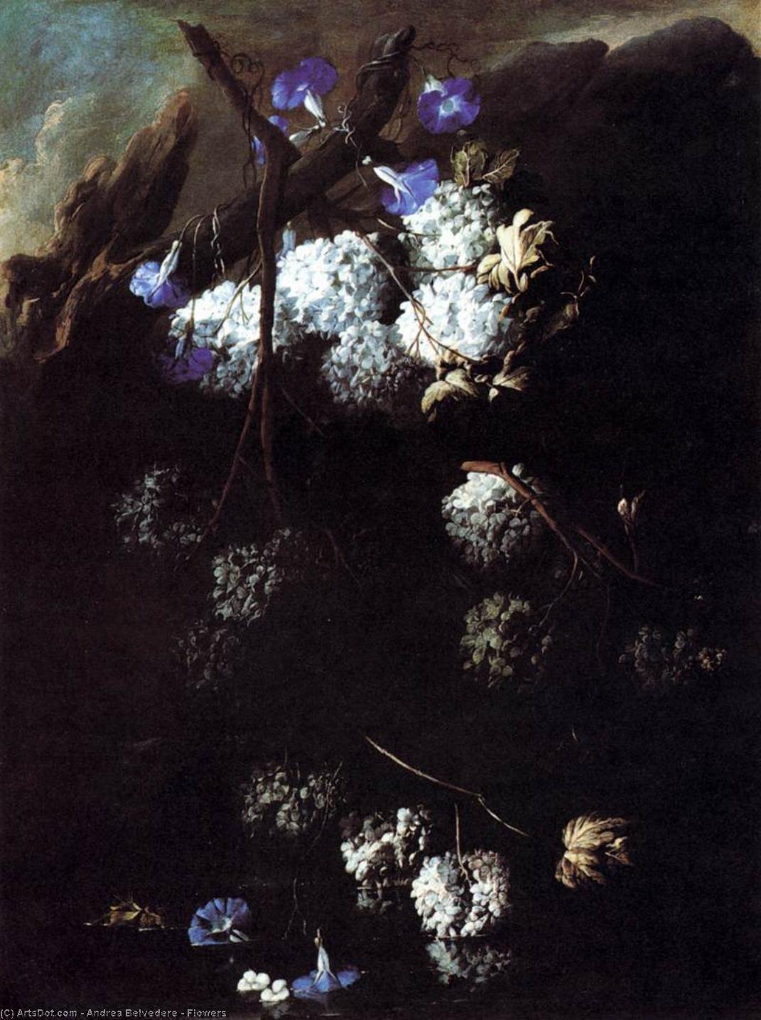 Flowers — Andrea Belvedere