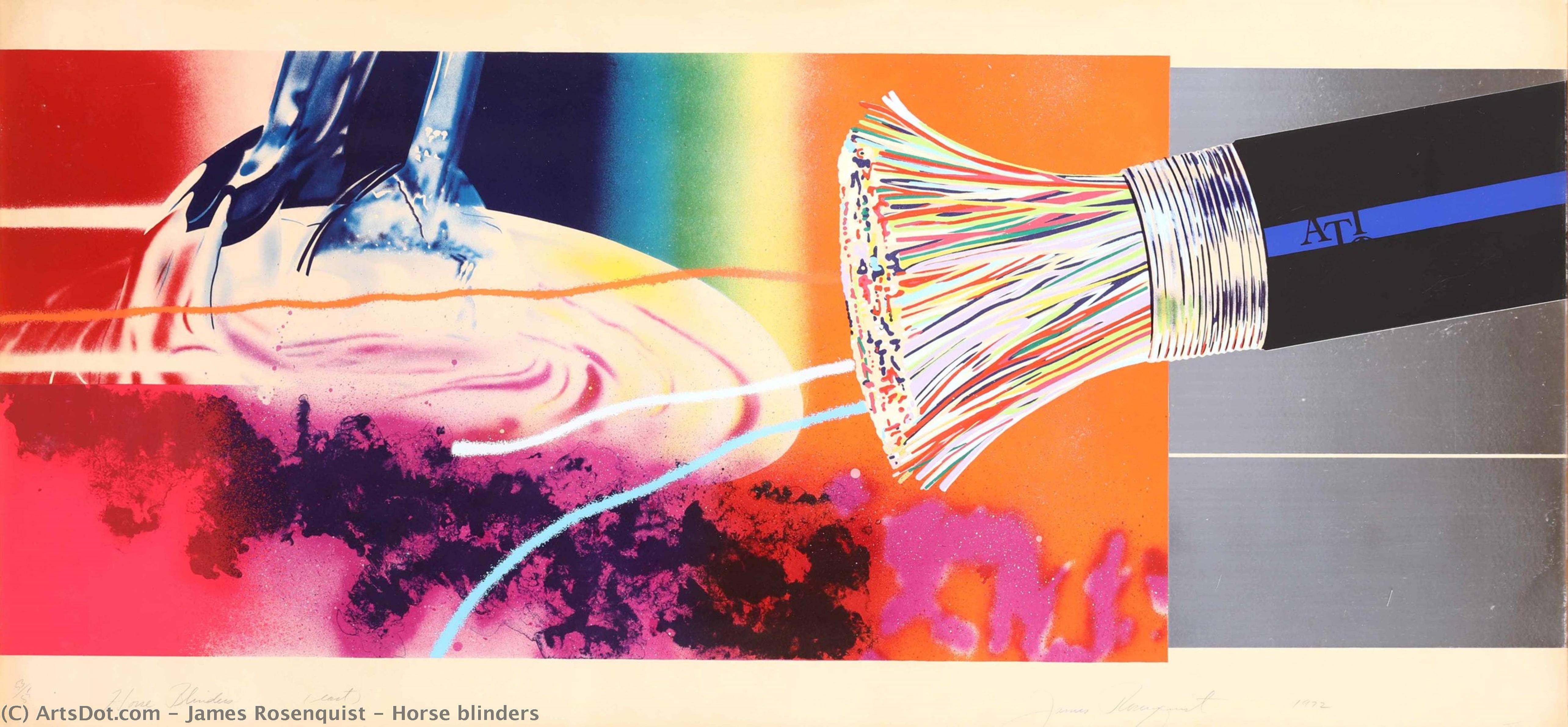 Horse Blinders — James Rosenquist