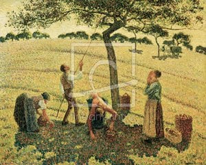 Apple Picking at Eragny-sur-Epte