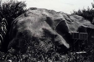 Untitled (airconditioned Rock) — Paul Hester