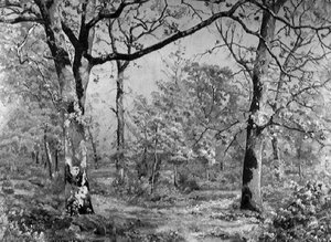 Les Bois Mouillés — Cabrit Jean