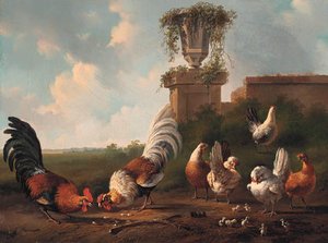 Roosters, Chickens And Chicks By A Ruinroosters, Chickens And Chicks By A Ruin