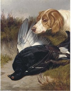 A Gundog With A Black Game — Colin Graeme Roe