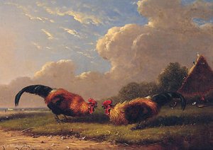 Cockerels — Franz Van Severdonck