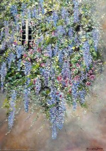 Wisteria
