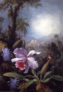 Orchids, Passion Flowers And Hummingbird — Martin Johnson Heade