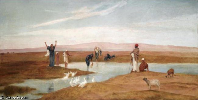 Driving Ducks — Фредерик Гудолл