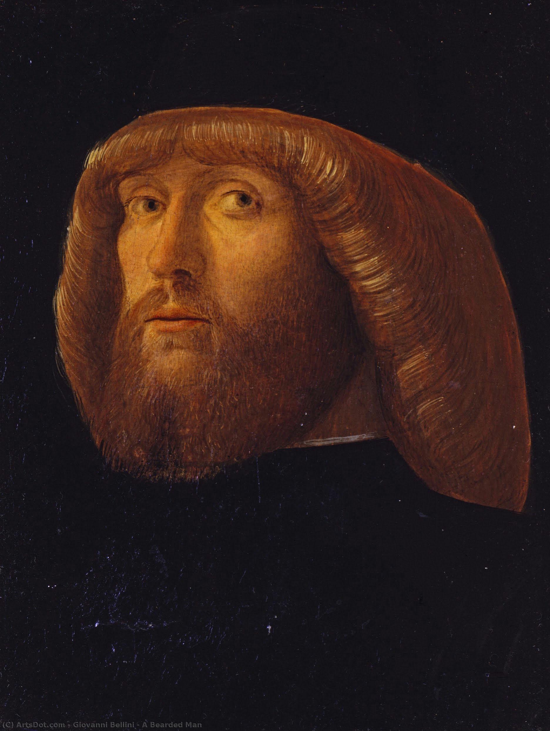 Ein Bärtiger Mann — Giovanni Bellini (giambellino)