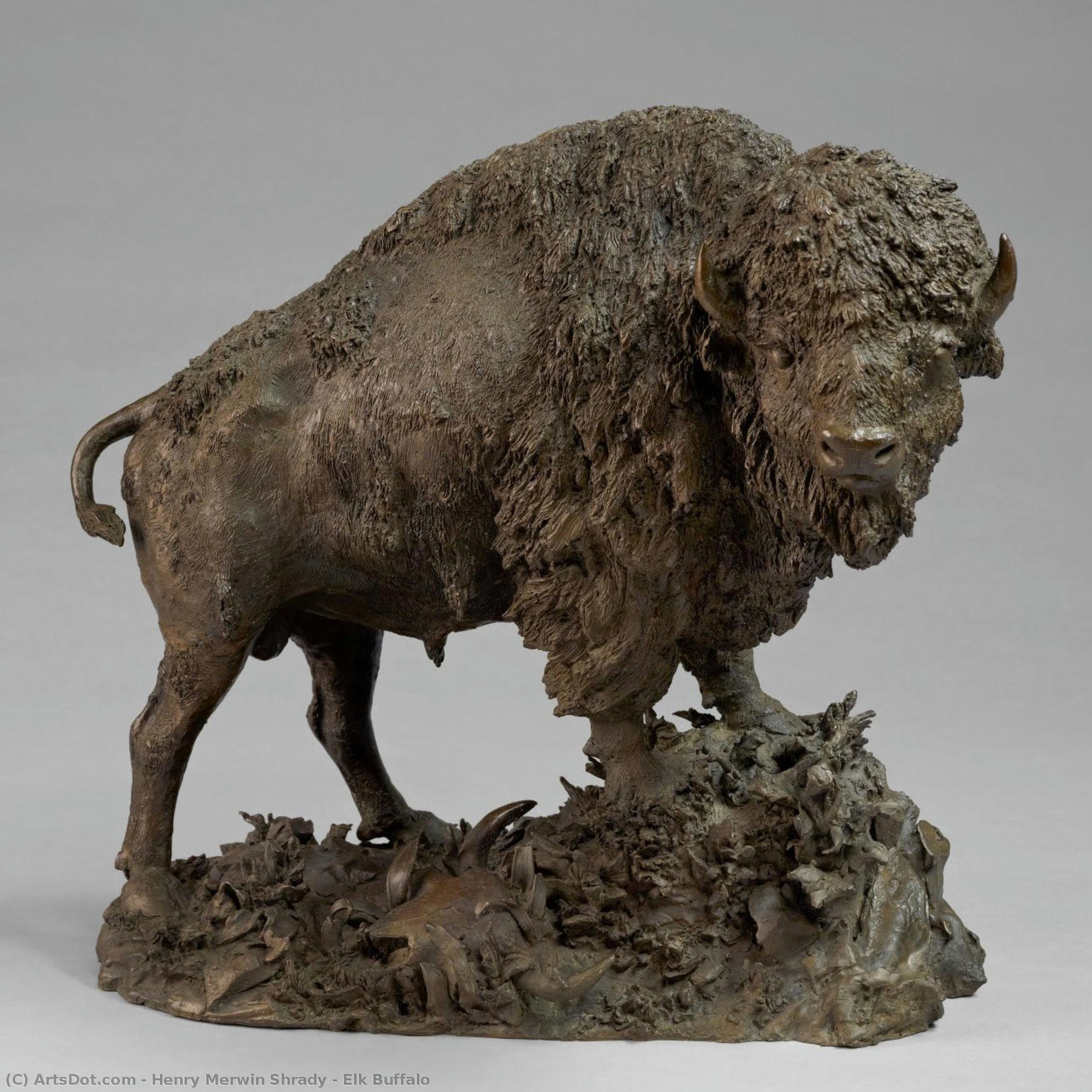 Elk Buffalo — Henry Merwin Shrady