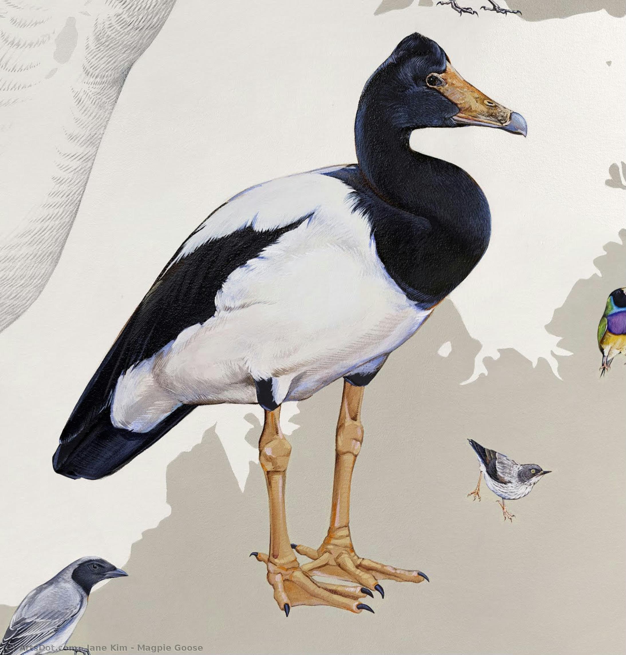 Jane Kim - Magpie Goose