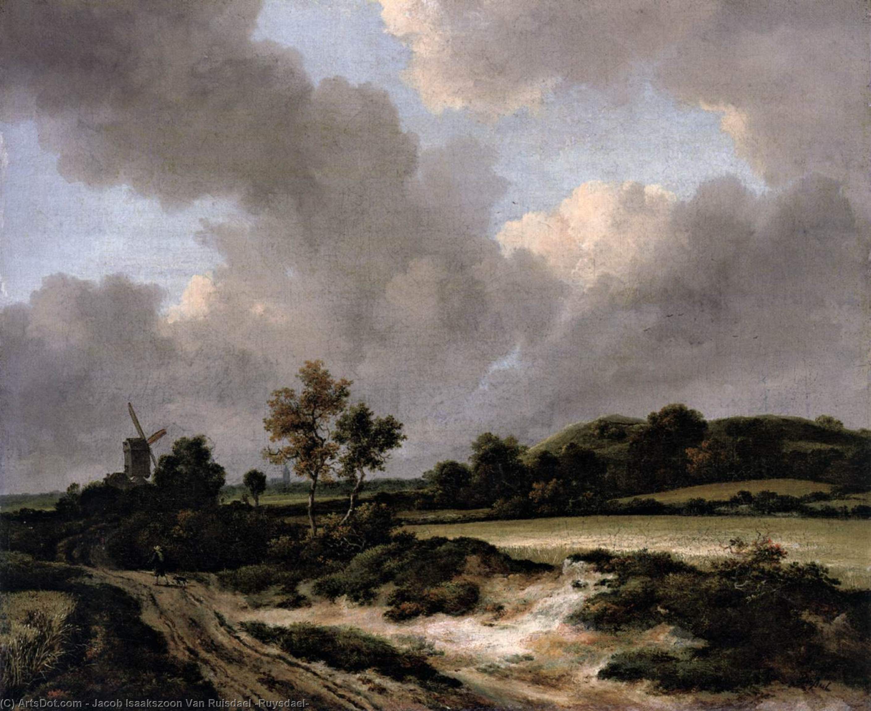 Champs de céréales