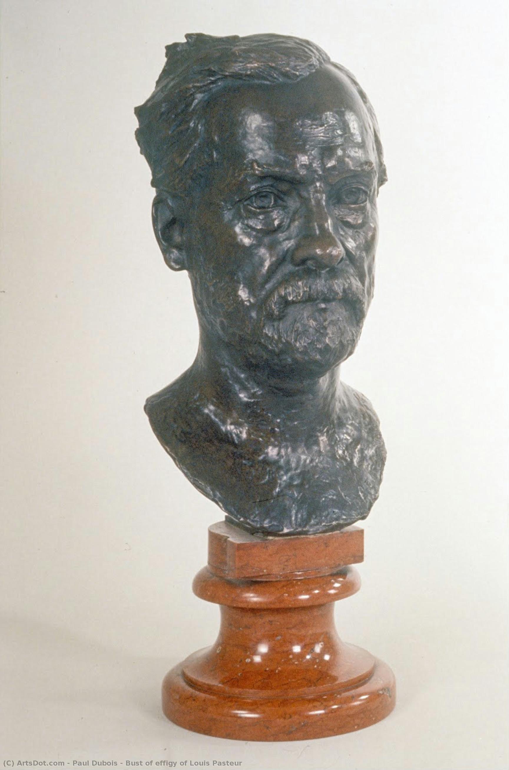 Bust Of Effigy Of Louis Pasteur — Paul Dubois