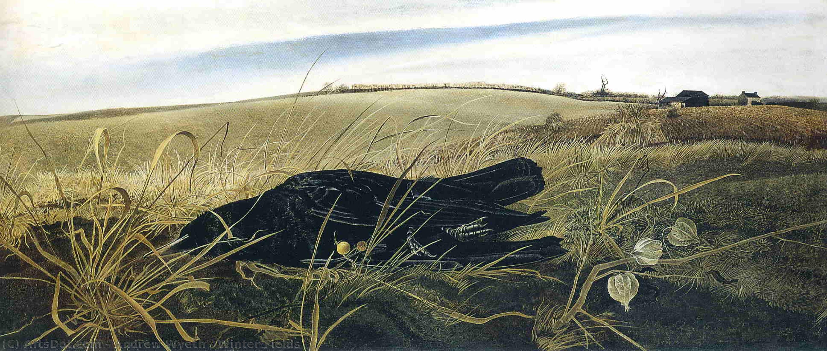 Andrew Wyeth - Winter Fields