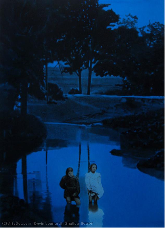 Shallow Bower — Devin Leonardi