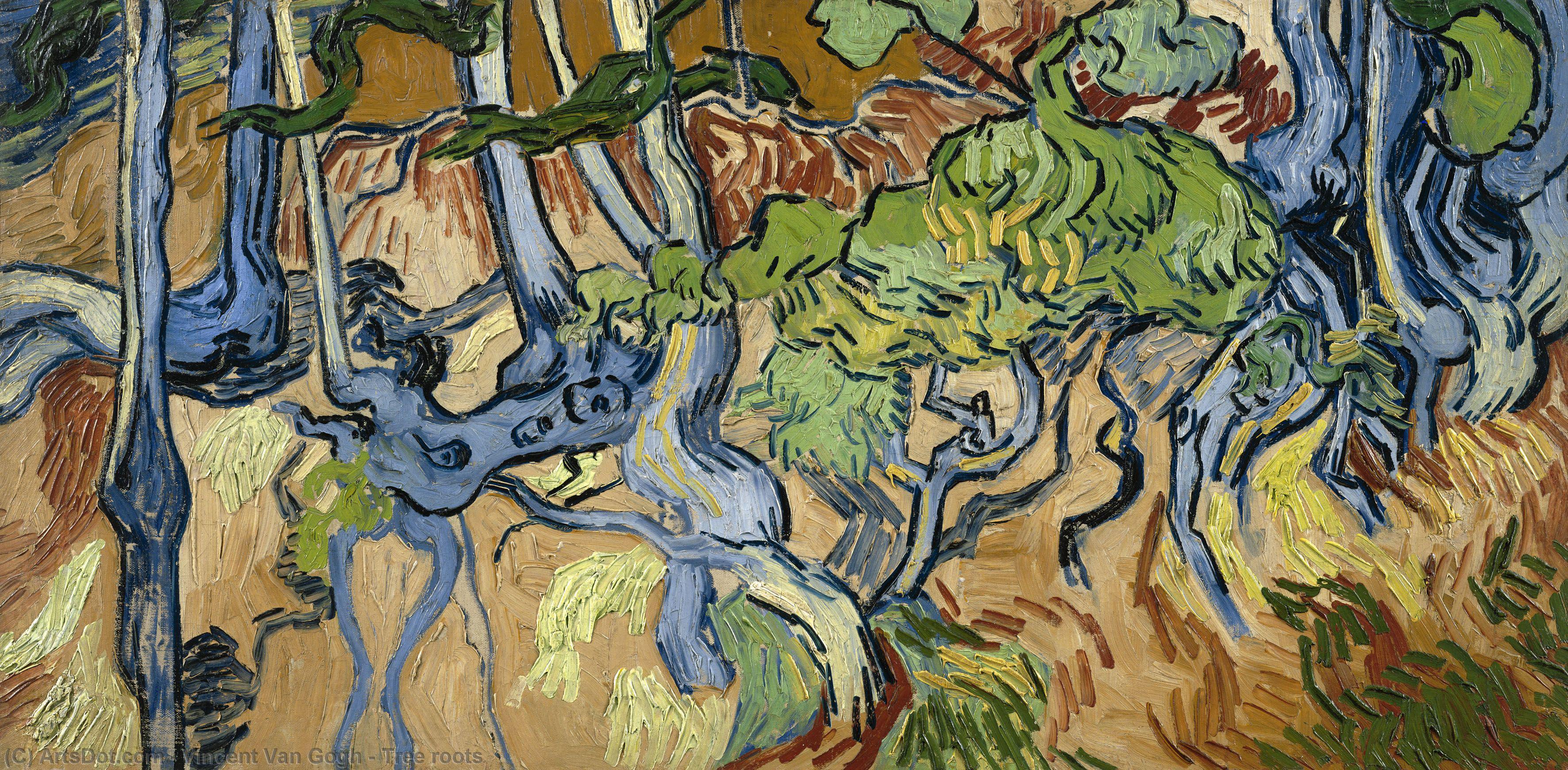 vincent willem van gogh - Tree roots
