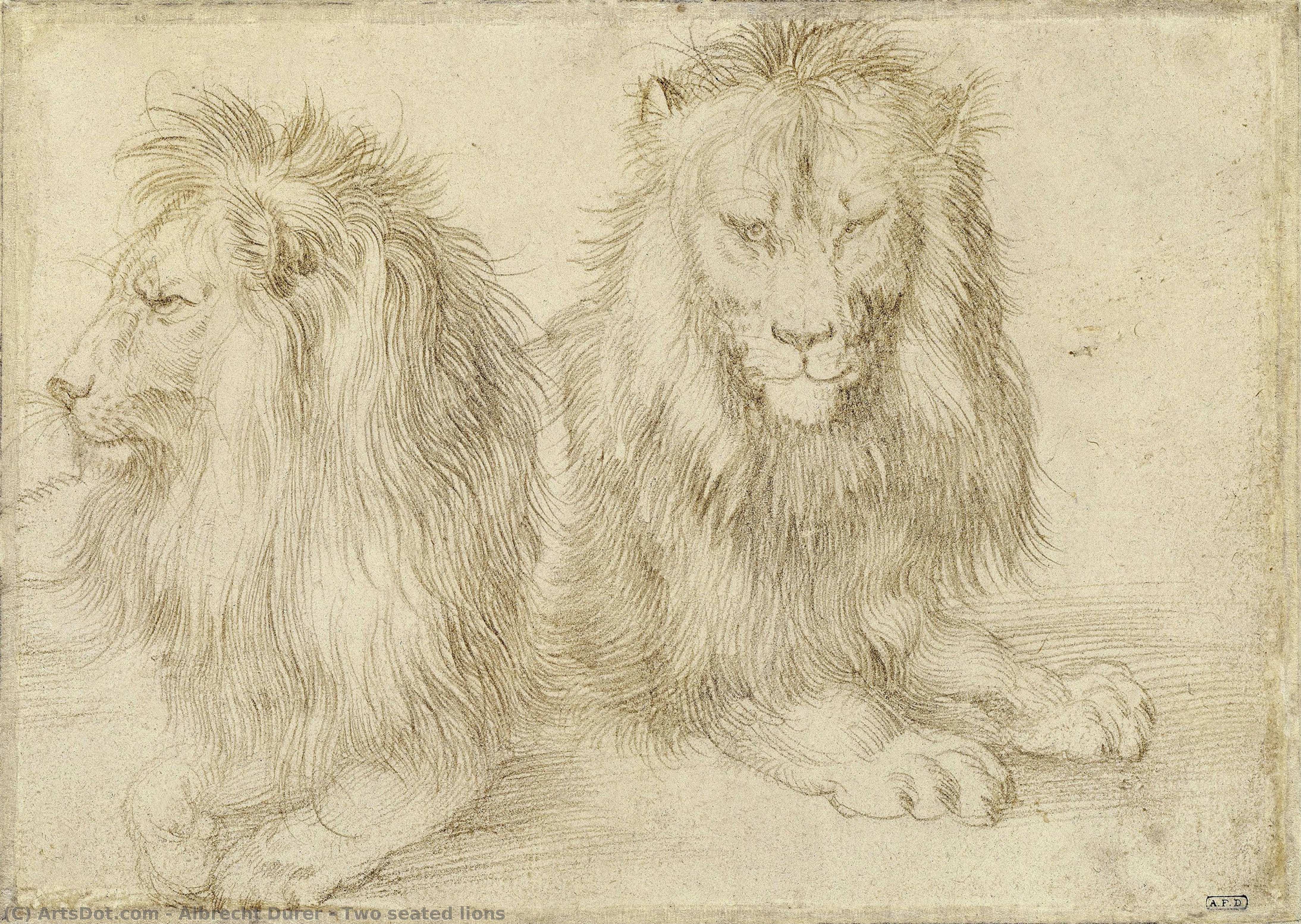 Due Leoni Seduti — Albrecht Dürer