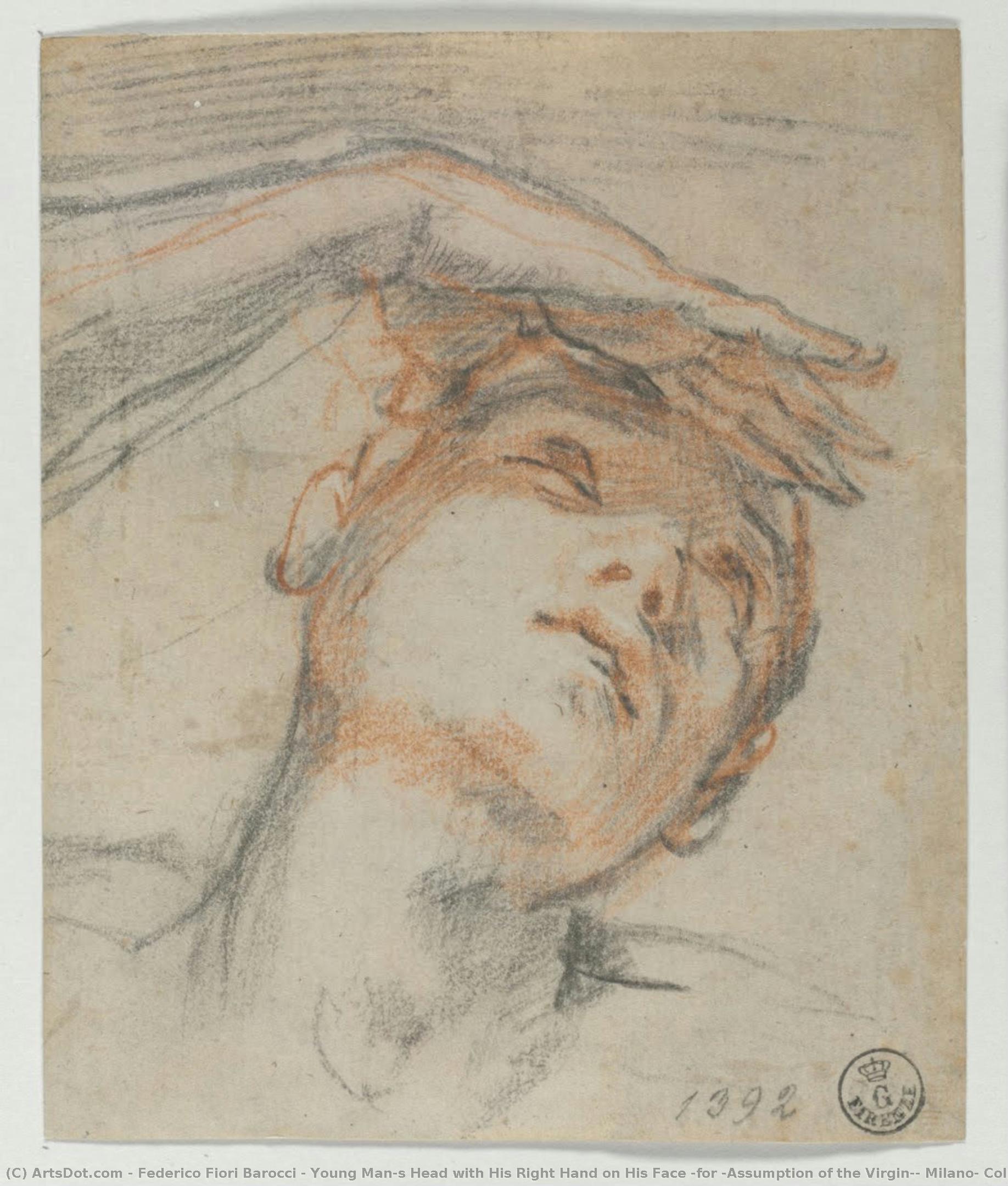 Cabeza De Un Joven Con Su Mano Derecha Sobre Su Rostro (para La “asunción De La Virgen”, Milán, Collezione Castelbarco Albani) — Federico Fiori Barocci