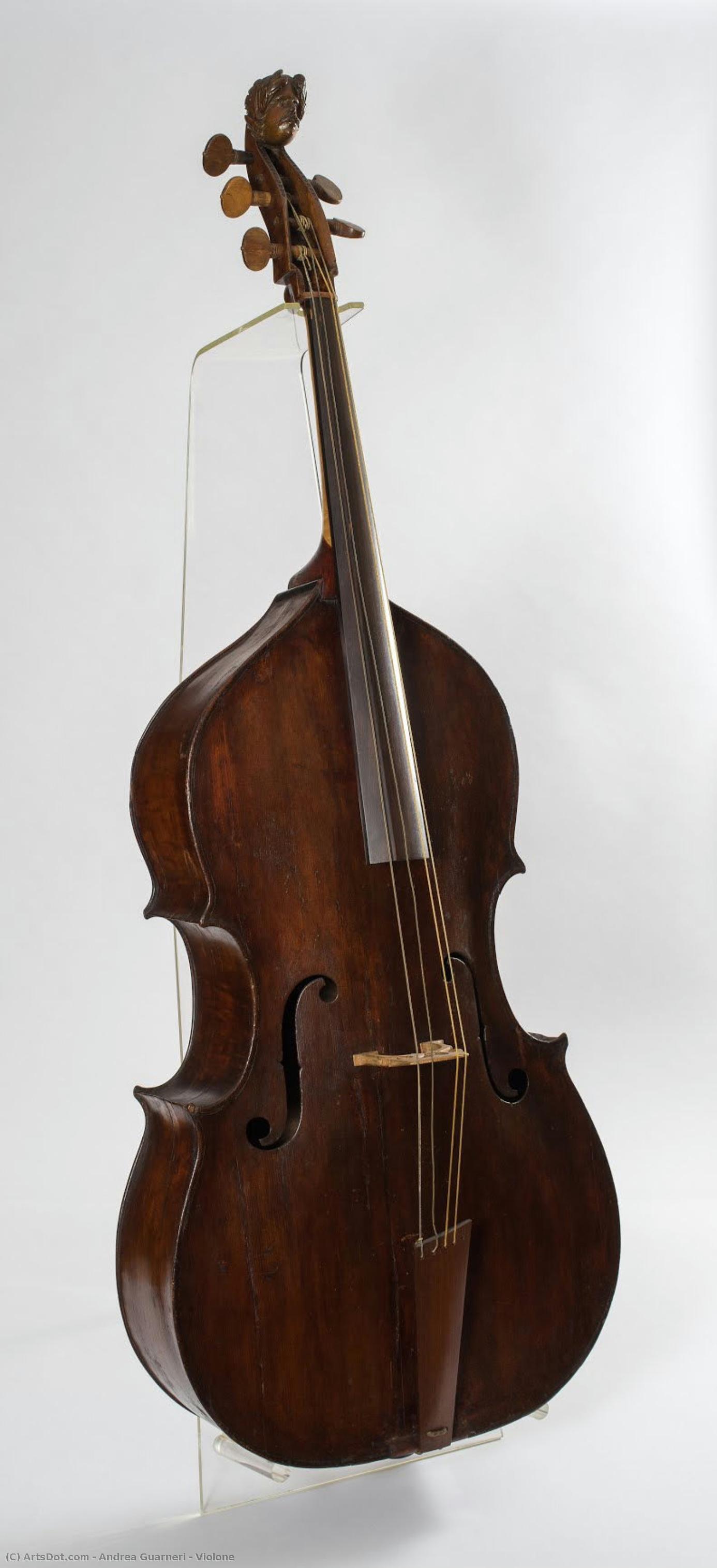 Violone — Andrea Guarneri