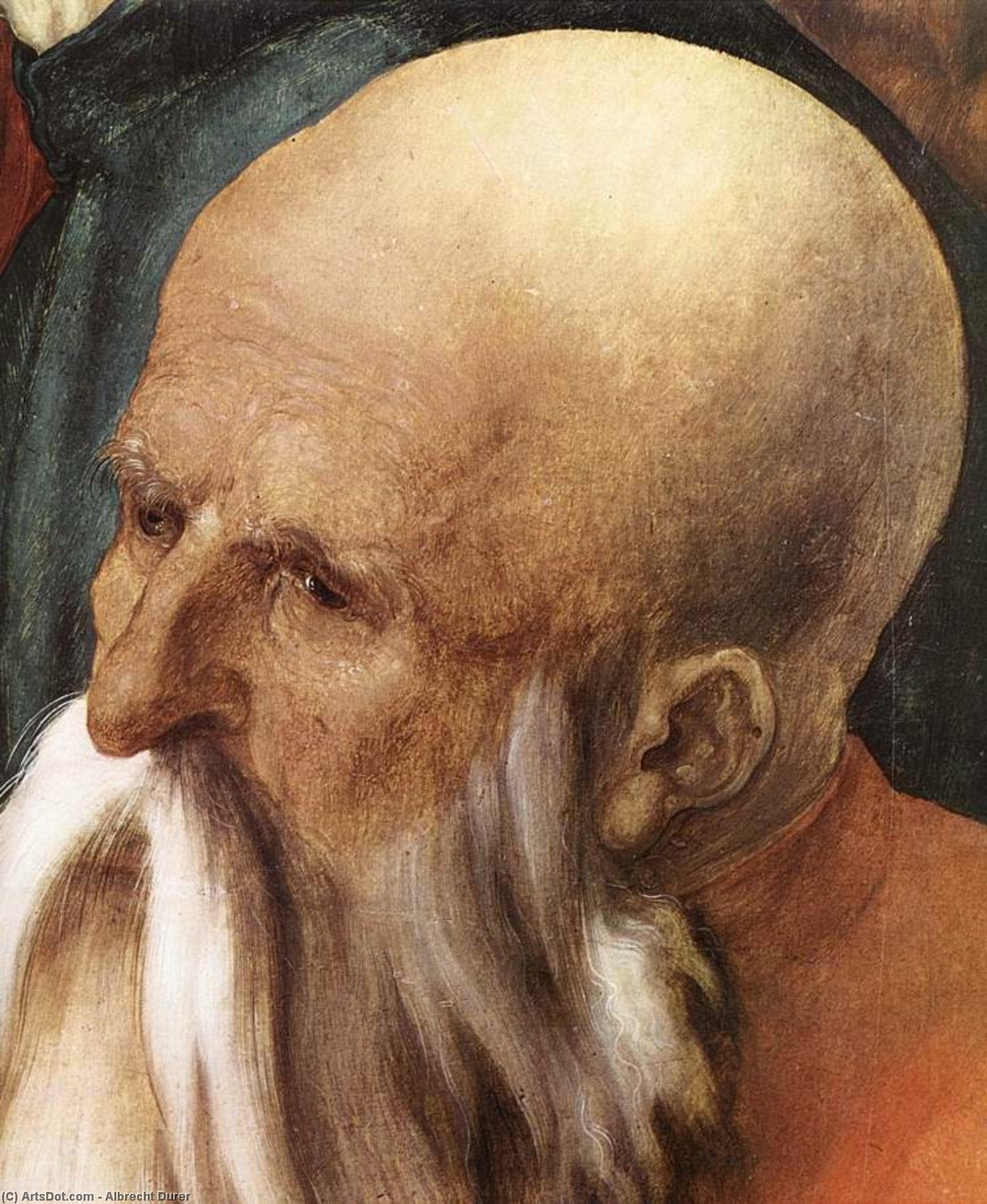 Cristo Tra I Dottori (dettaglio) — Albrecht Dürer