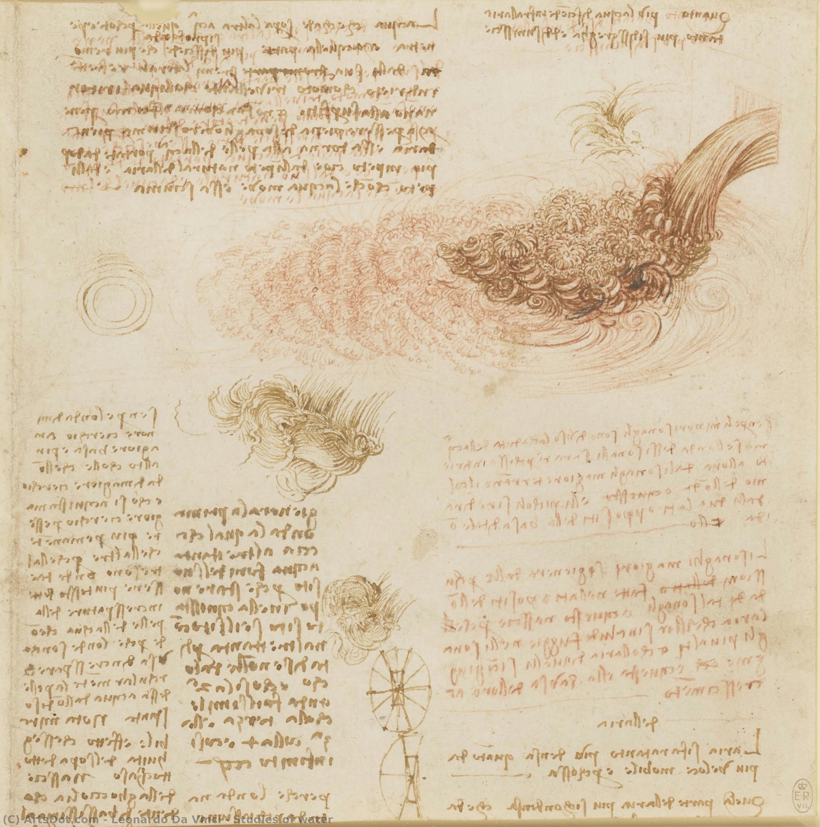 Studije Vode — Leonardo Da Vinči