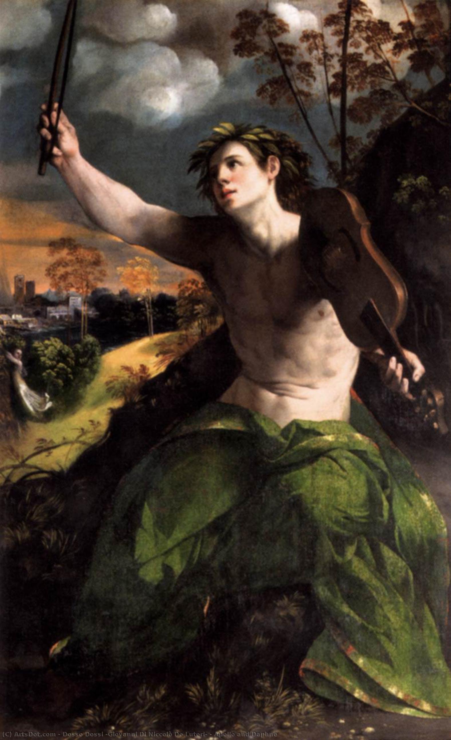 dosso dossi (giovanni di niccolò de luteri) - Apollo and Daphne
