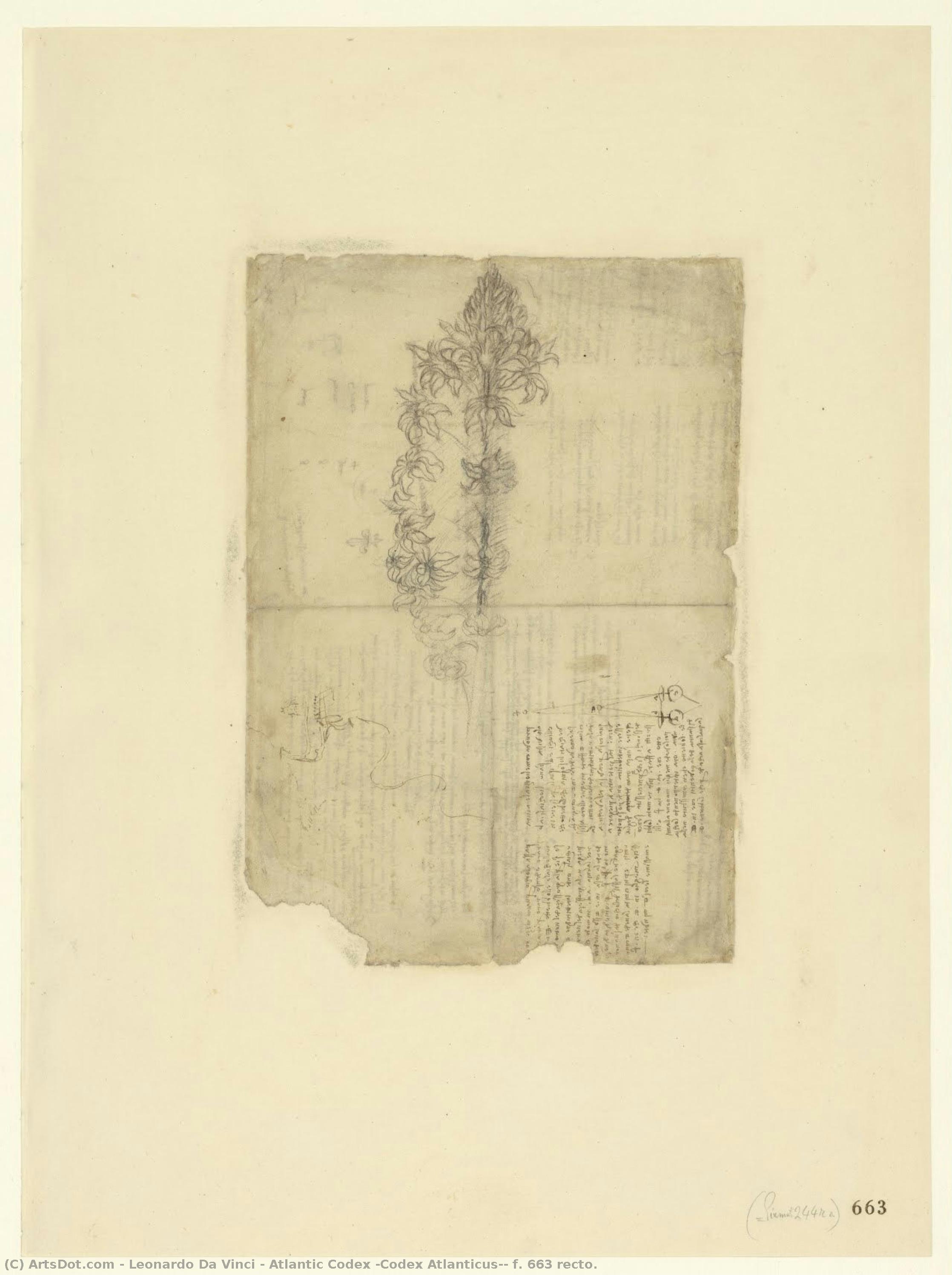 Atlantischer Codex (codex Atlanticus), F. 663 Recto. — Leonardo Da Vinci