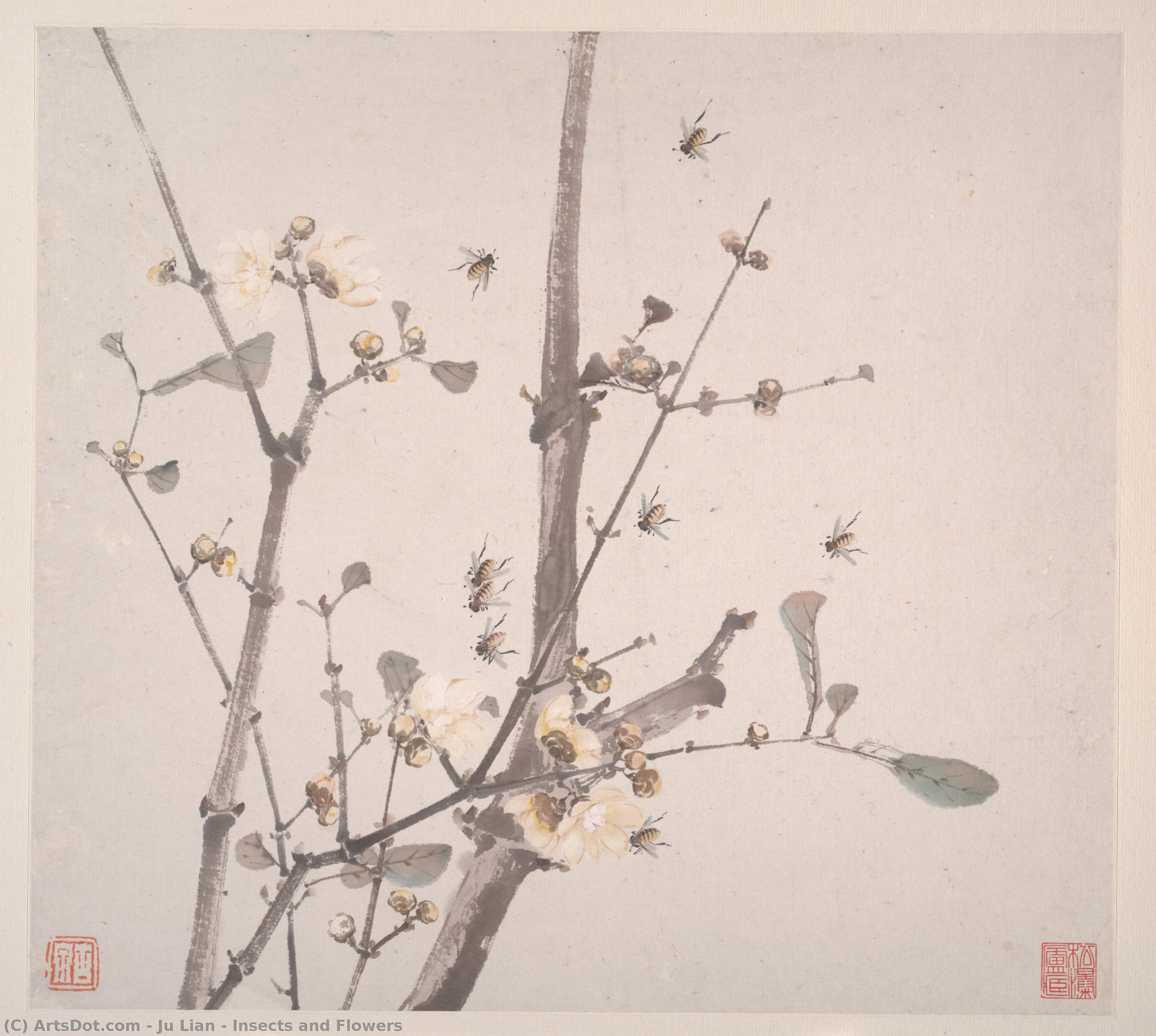 Insects And Flowers — Ju Lian