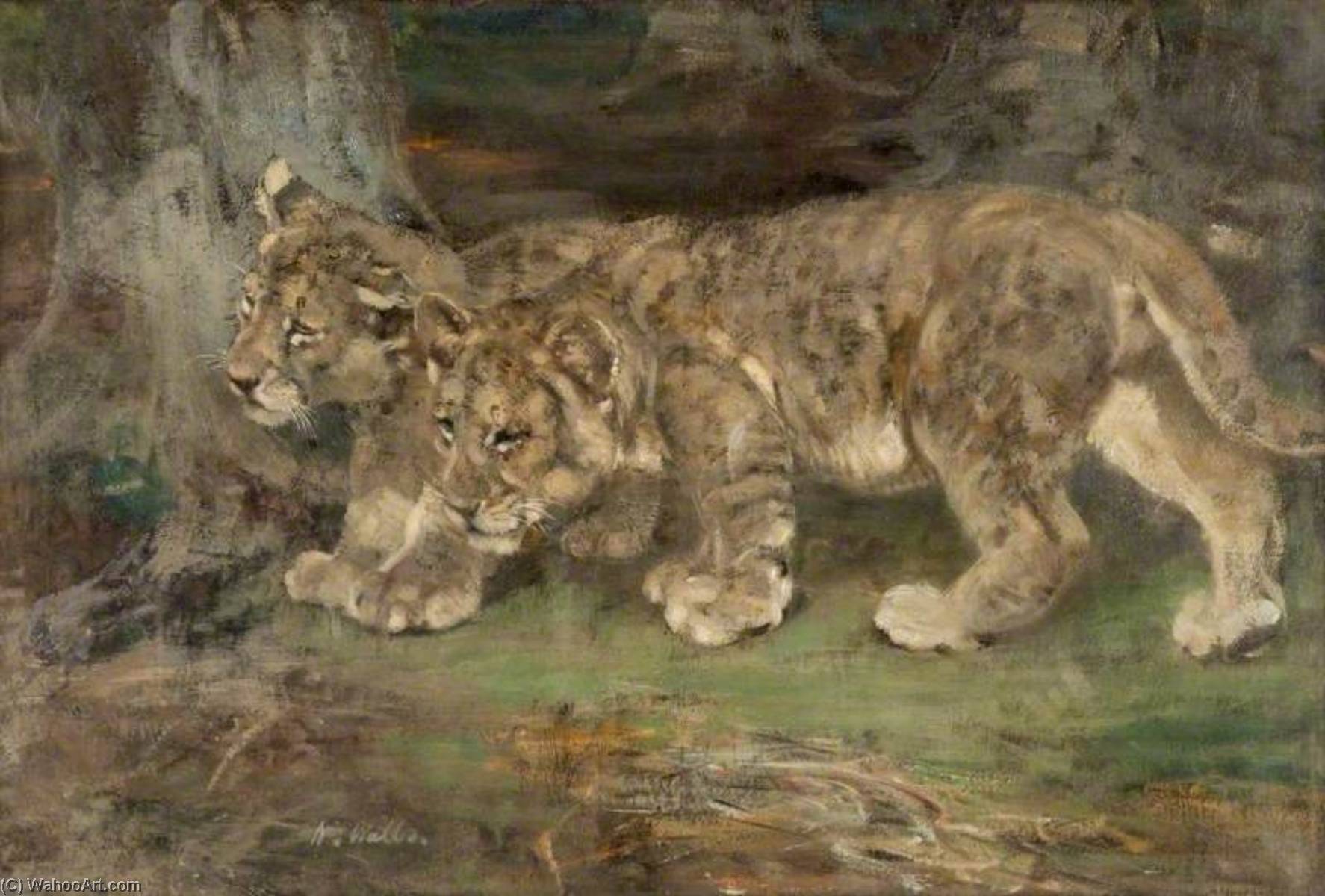 william walls - Lion Cubs, Suspicion
