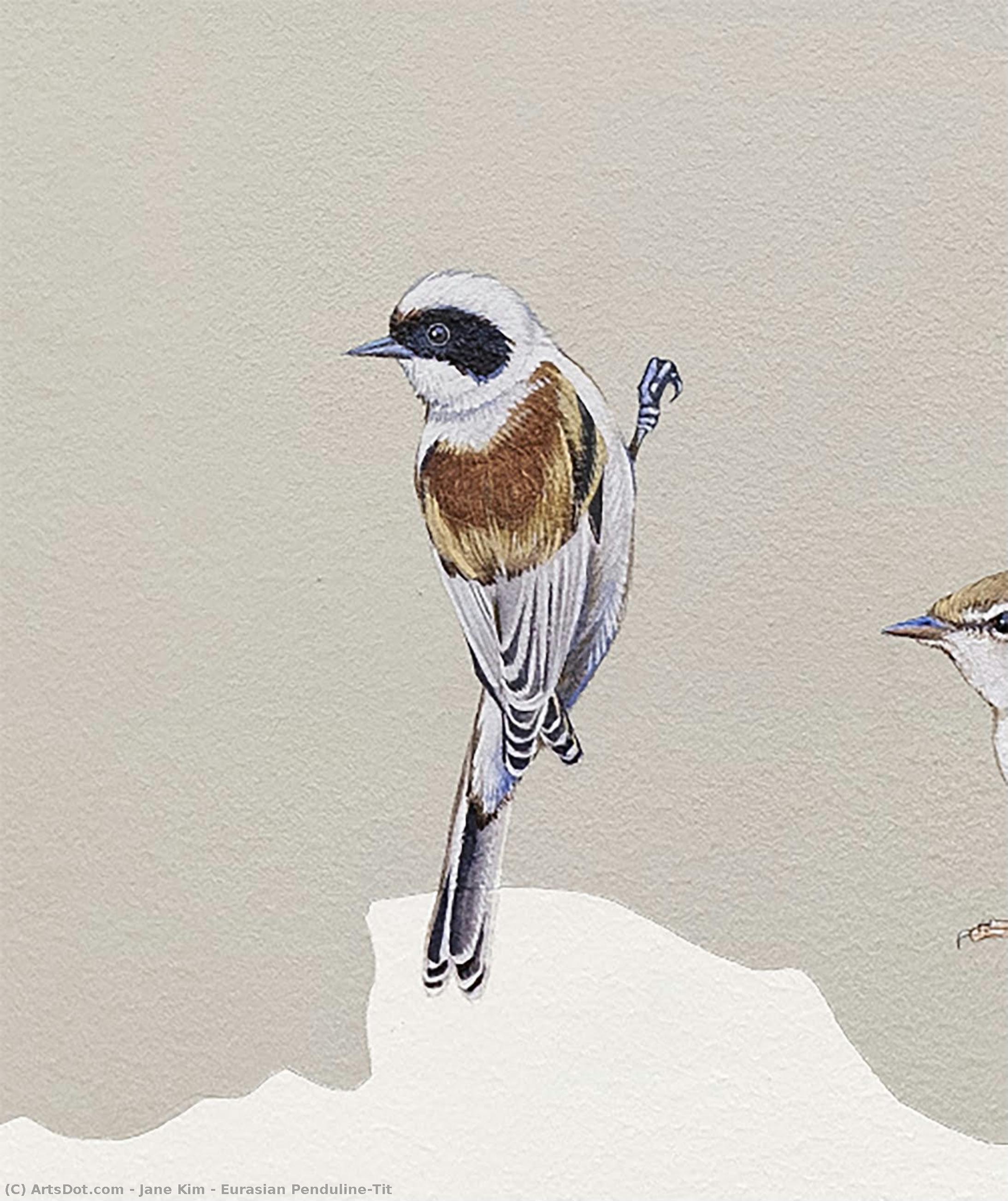 Eurasian Penduline-tit — Jane Kim
