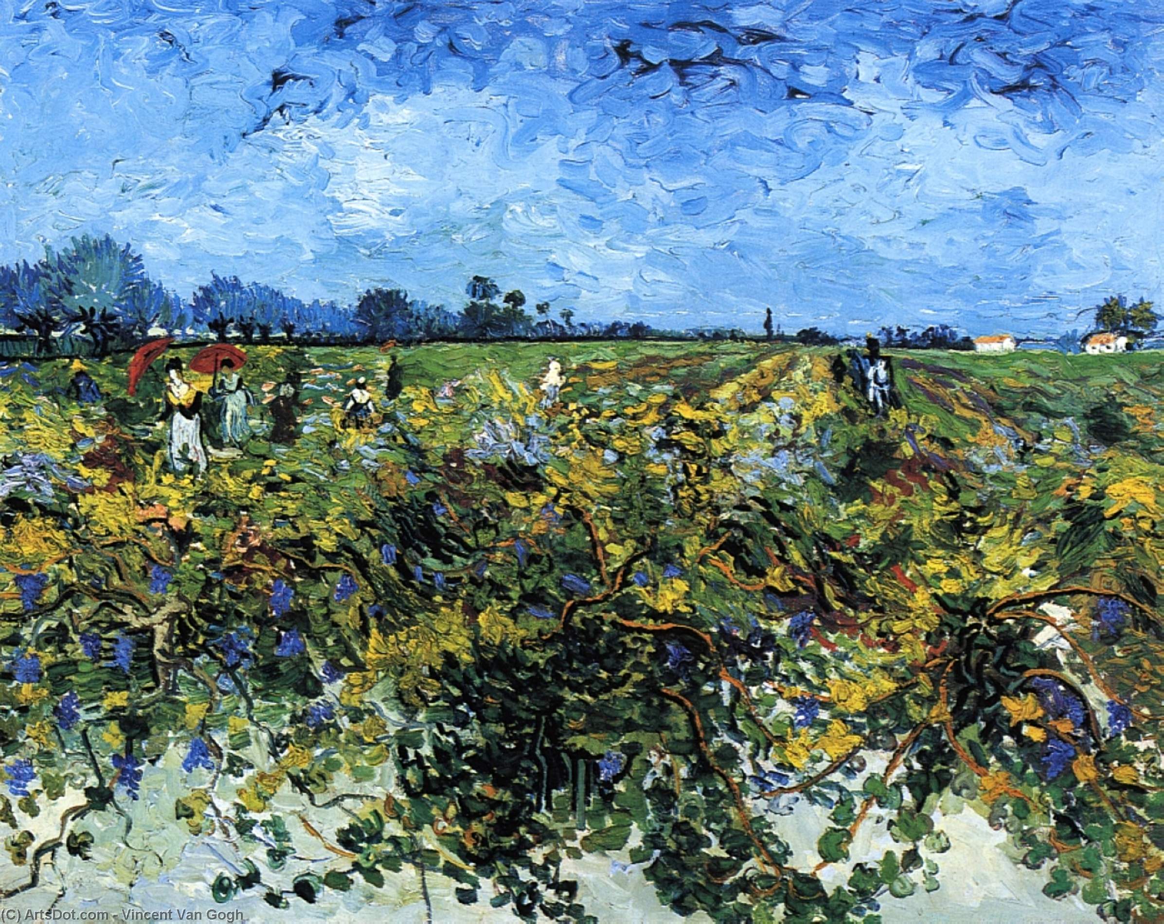 vincent willem van gogh - The Green Vinyard