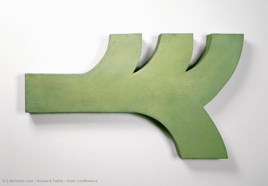 Sum Confluence — Richard Tuttle