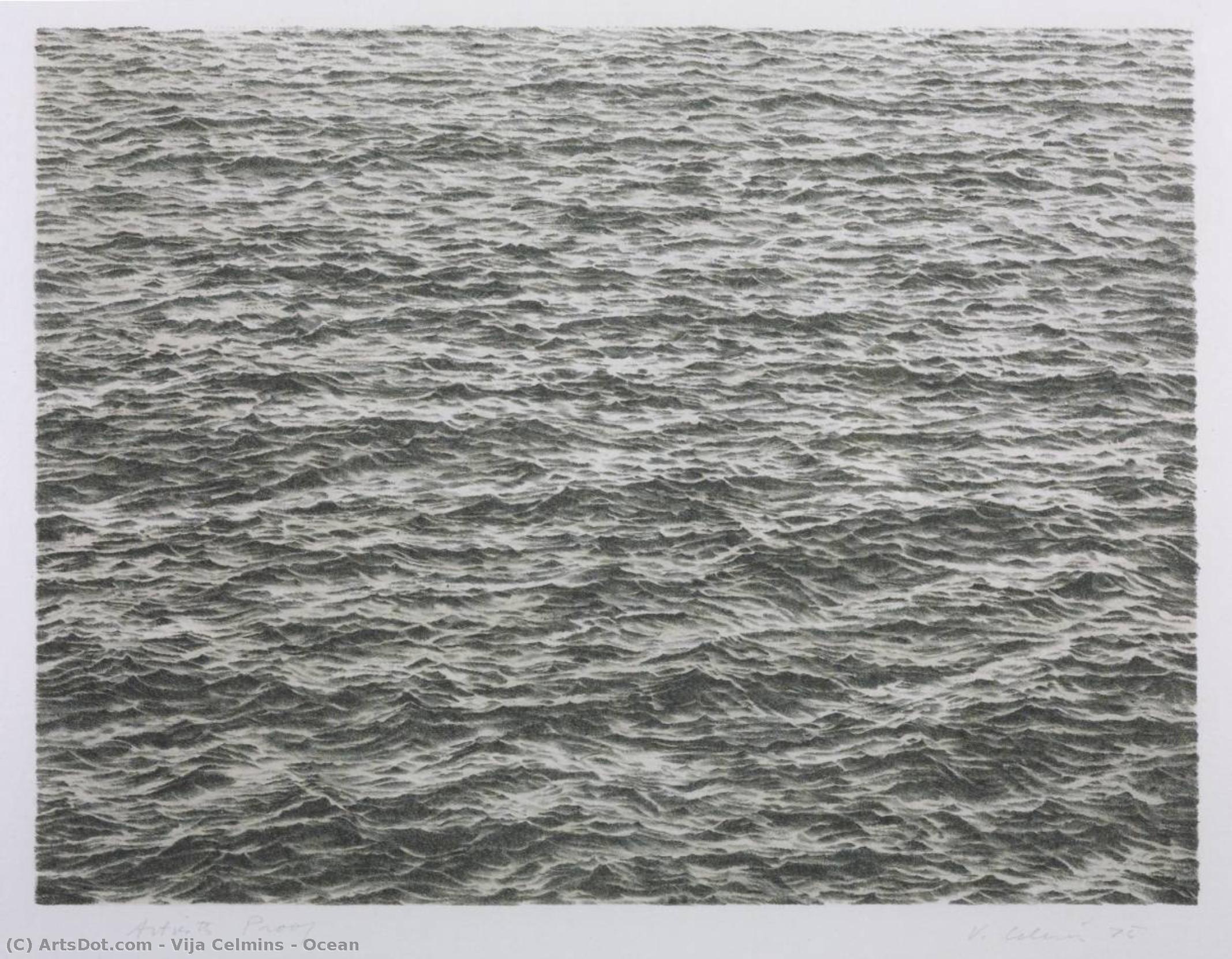 Ocean — Vija Celmins