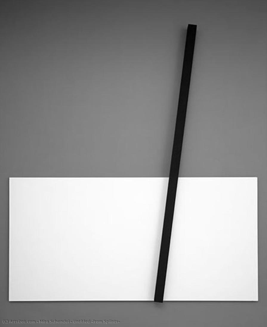 Untitled (from Splints) — Mira Schendelová