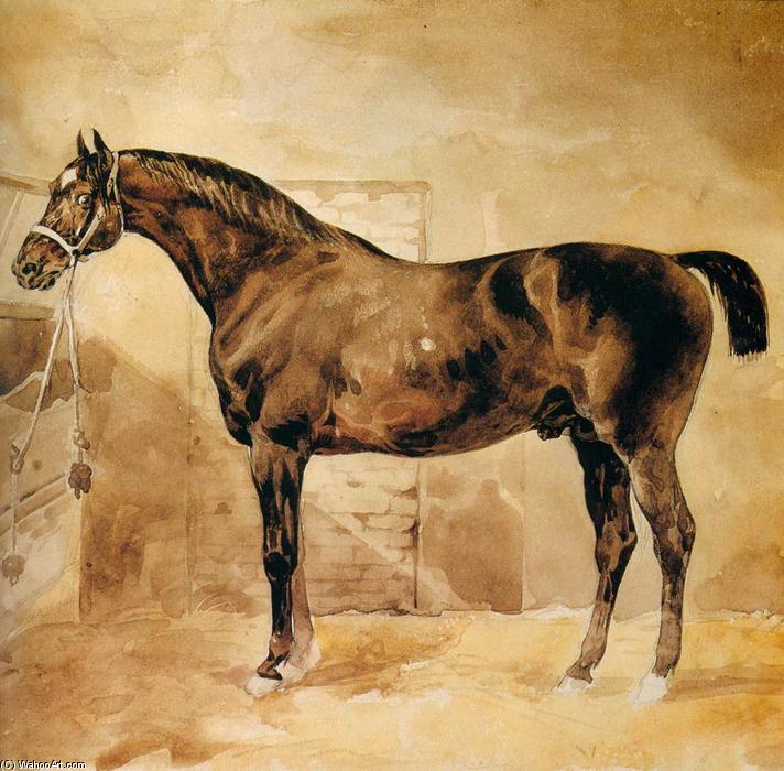 Cavallo Inglese Nella Stalla — Géricault