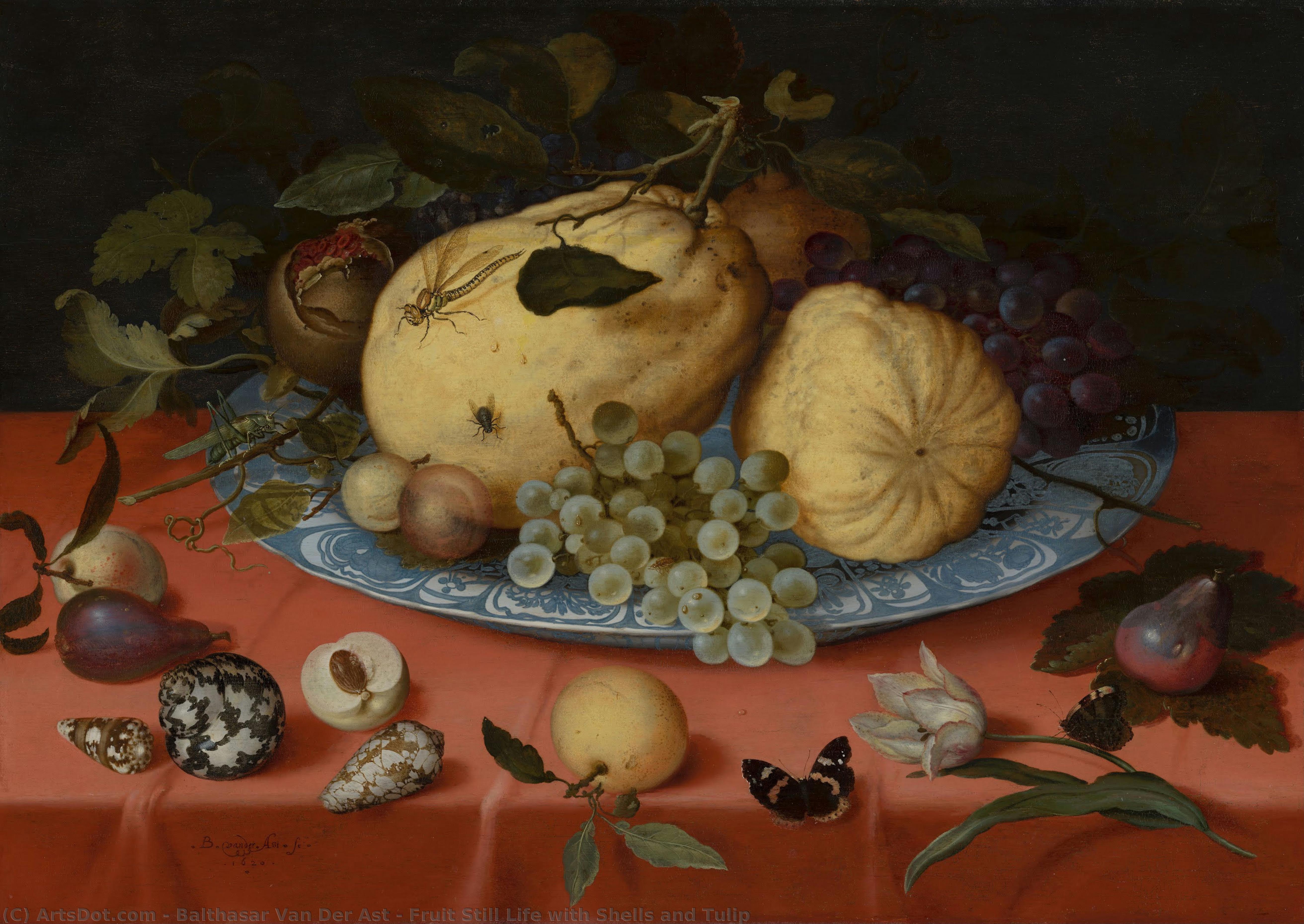 Balthasar Van Der Ast - Fruit Still Life with Shells and Tulip