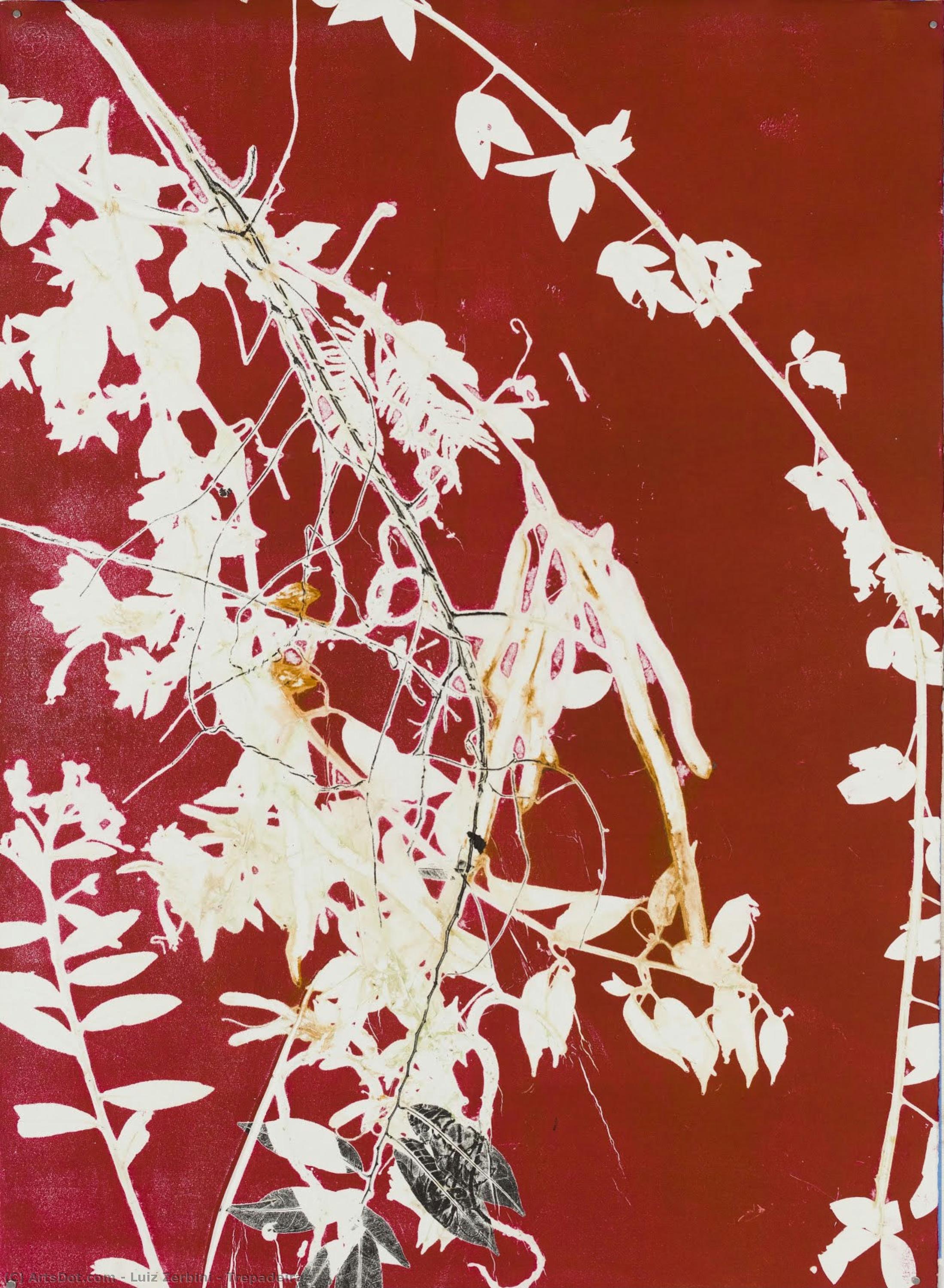 Trepadeira — Luiz Zerbini