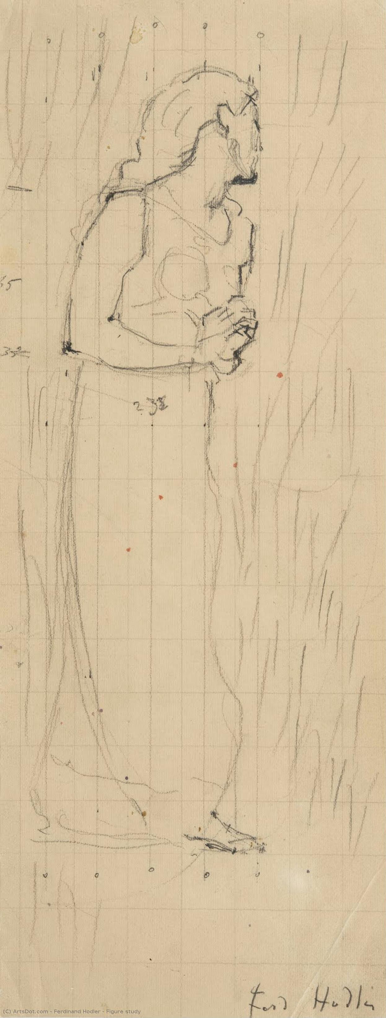 Ferdinand Hodler - Bildstudie