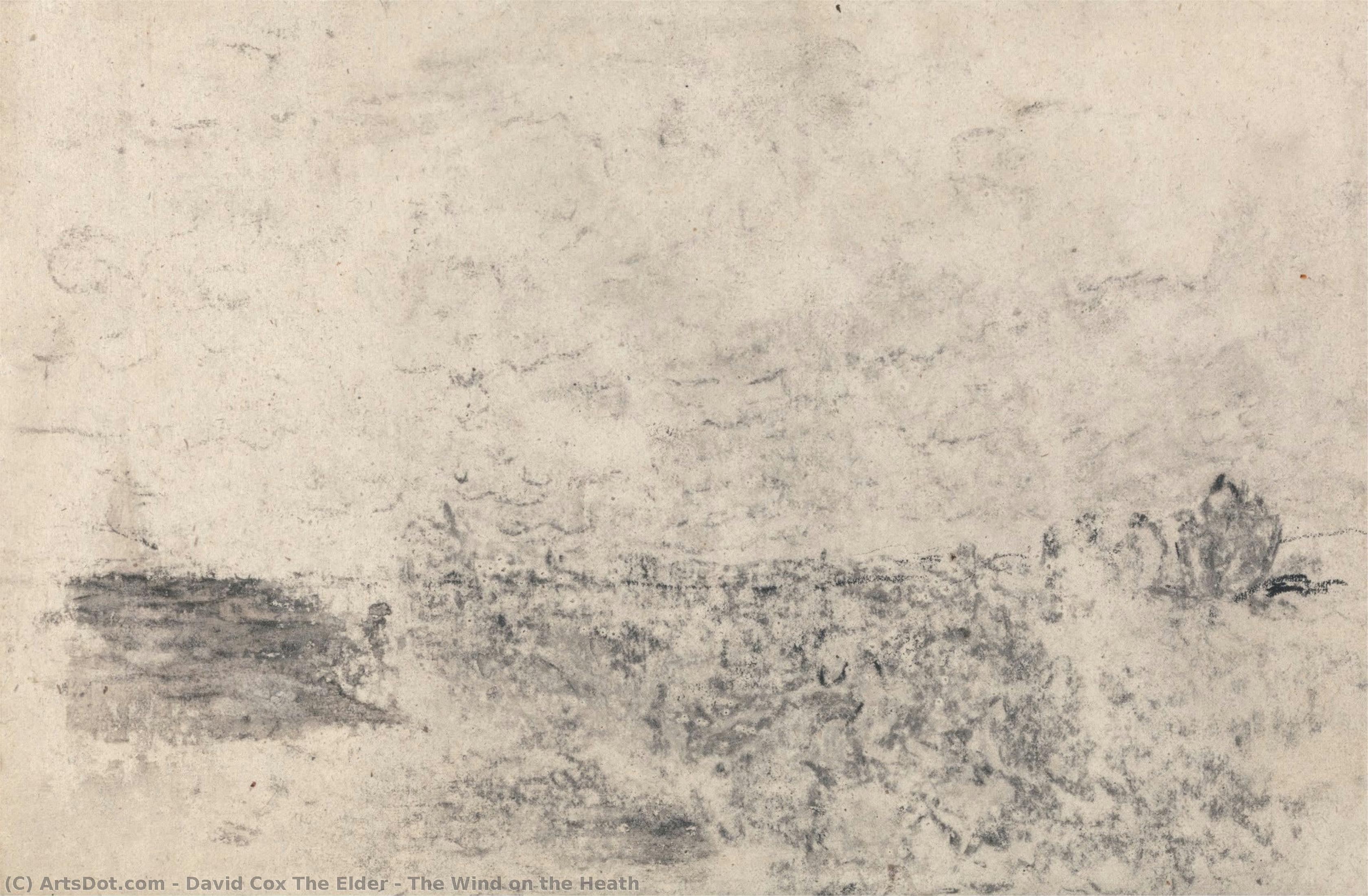 david cox the elder - The Wind on the Heath