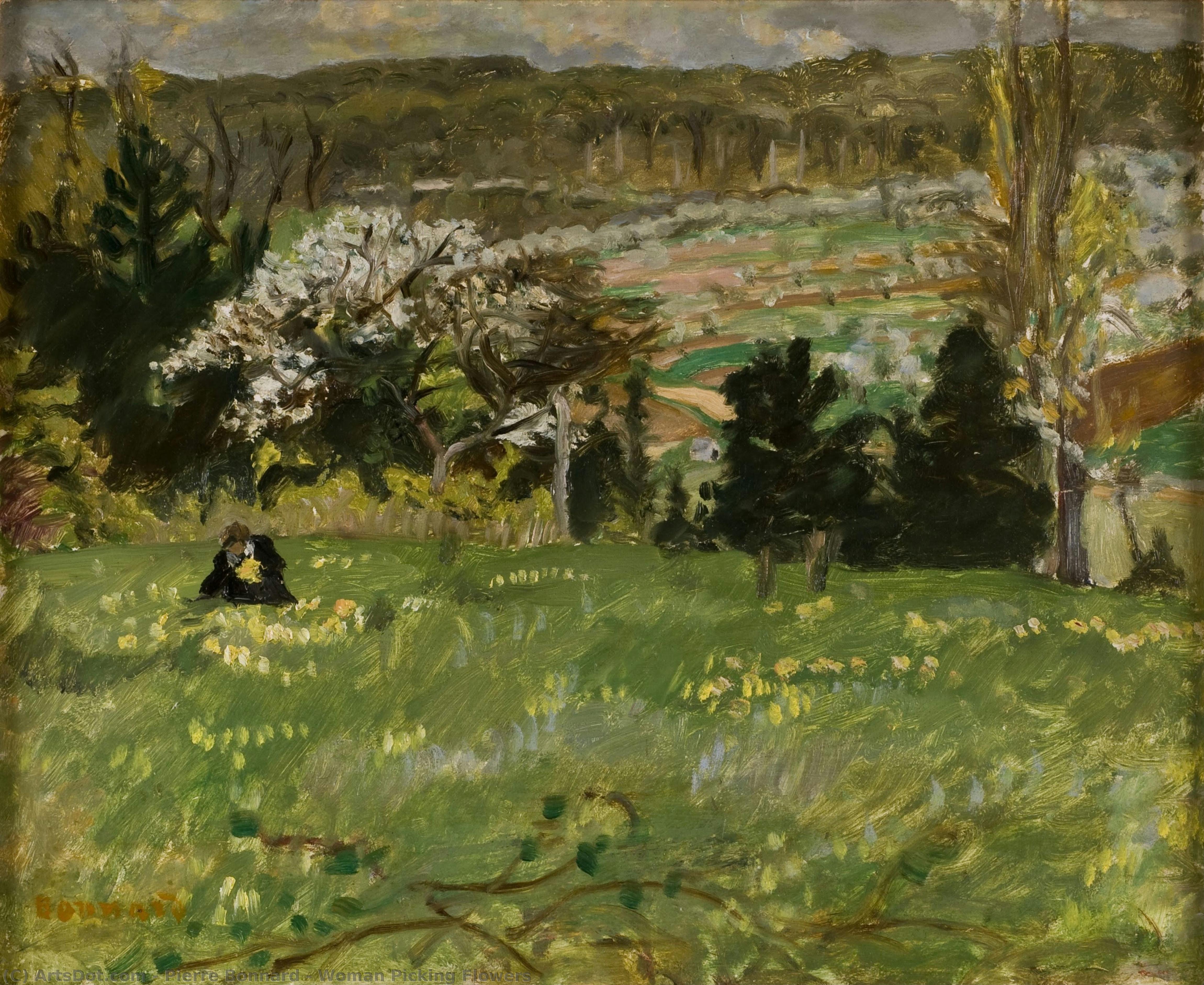 Žena Sbírající Květiny — Pierre Bonnard