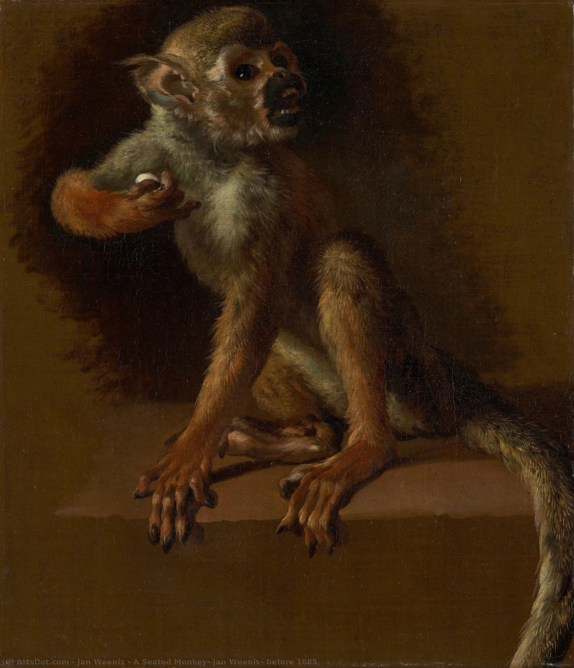 Jan Weenix - A Seated Monkey, Jan Weenix, before 1685