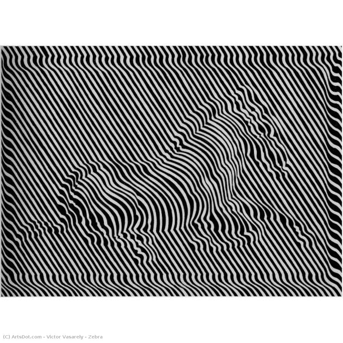 Zebra — Віктор Вазарелі